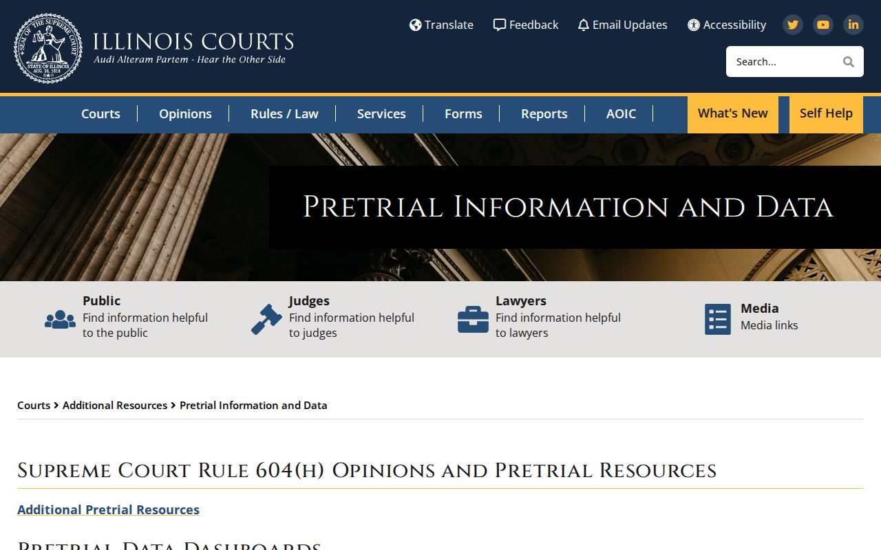 Illinois arrest and pretrial data resources from Illinois Courts